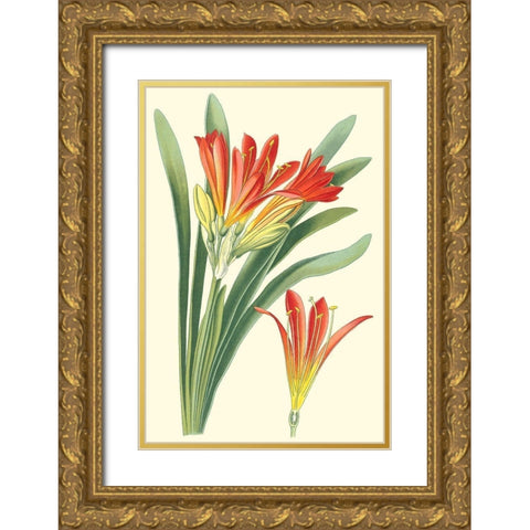 Striking Lilies III Gold Ornate Wood Framed Art Print with Double Matting by Step, Edward