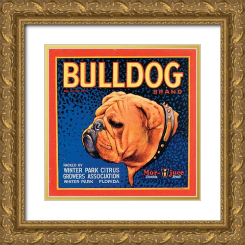 Bull Dog Gold Ornate Wood Framed Art Print with Double Matting by Vision Studio