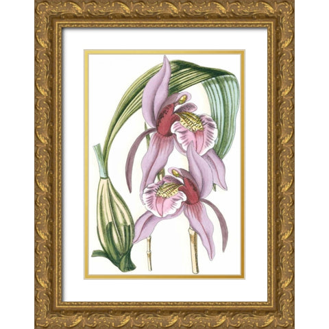 Lilac Orchid III Gold Ornate Wood Framed Art Print with Double Matting by Vision Studio