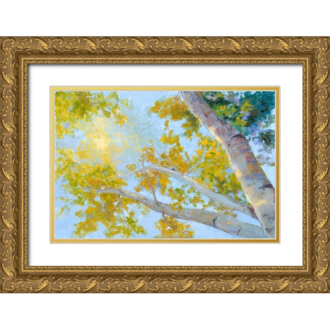 Aspen Canopy Gold Ornate Wood Framed Art Print with Double Matting by Oleson, Nanette