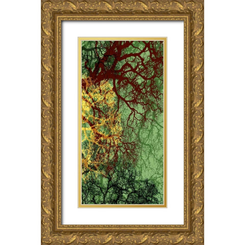 Entangle II Gold Ornate Wood Framed Art Print with Double Matting by Burghardt, James