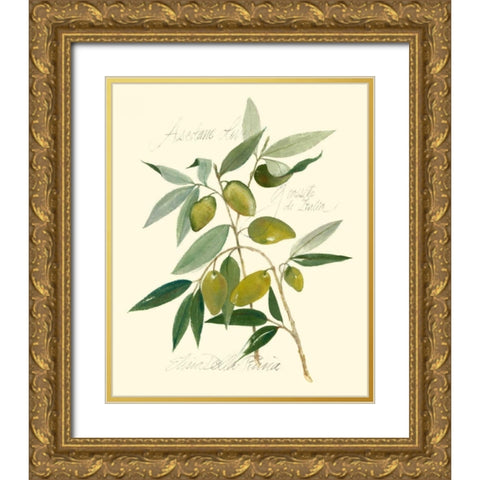 Ascolane Olives Gold Ornate Wood Framed Art Print with Double Matting by Della-Piana, Elissa