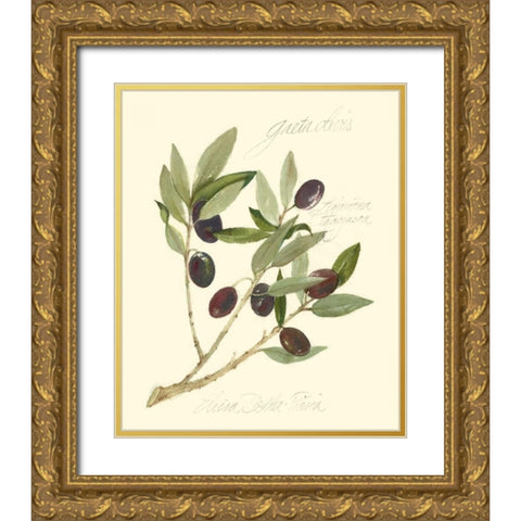 Gaeta Olives Gold Ornate Wood Framed Art Print with Double Matting by Della-Piana, Elissa