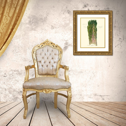 Asparagus Officinalis Gold Ornate Wood Framed Art Print with Double Matting by Della-Piana, Elissa
