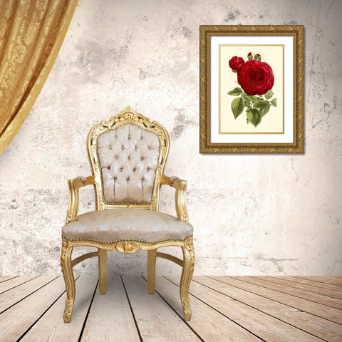 Magnificent Rose I Gold Ornate Wood Framed Art Print with Double Matting by Van Houtte