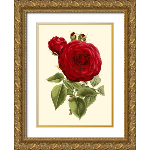 Magnificent Rose I Gold Ornate Wood Framed Art Print with Double Matting by Van Houtte