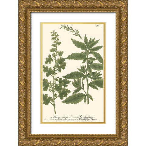 Weinmann Leaves III Gold Ornate Wood Framed Art Print with Double Matting by Weinmann
