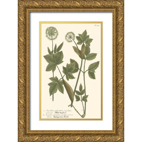 Weinmann Leaves IV Gold Ornate Wood Framed Art Print with Double Matting by Weinmann