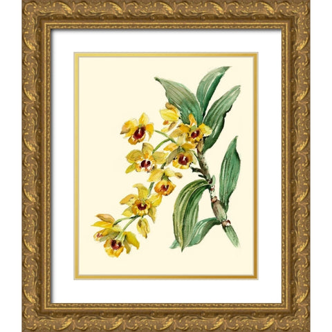Dendrobium Orchid Gold Ornate Wood Framed Art Print with Double Matting by Waldman, Joy