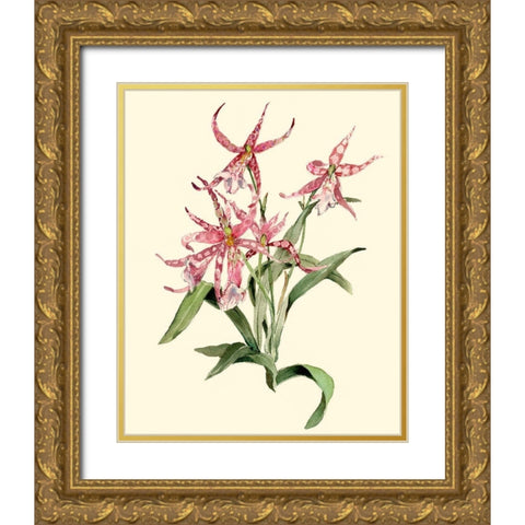 Mittassia Hybrid Orchid Gold Ornate Wood Framed Art Print with Double Matting by Waldman, Joy