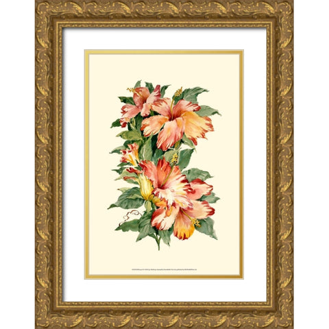 Hibiscus II Gold Ornate Wood Framed Art Print with Double Matting by Waldman, Joy