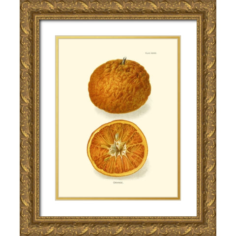 Orange Gold Ornate Wood Framed Art Print with Double Matting by Unknown