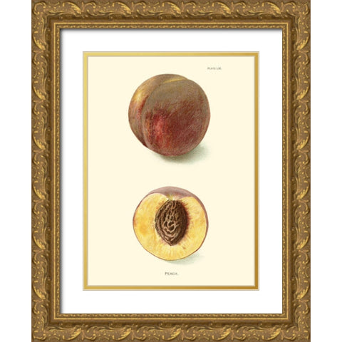 Peach Gold Ornate Wood Framed Art Print with Double Matting by Unknown