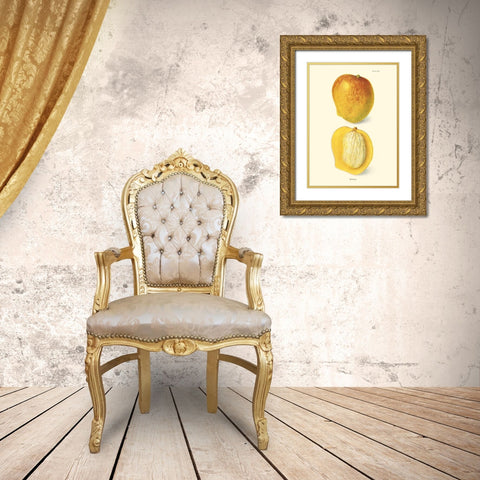 Mango Gold Ornate Wood Framed Art Print with Double Matting by Unknown