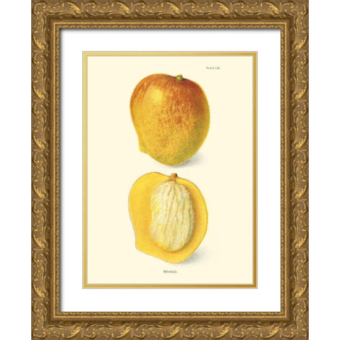 Mango Gold Ornate Wood Framed Art Print with Double Matting by Unknown