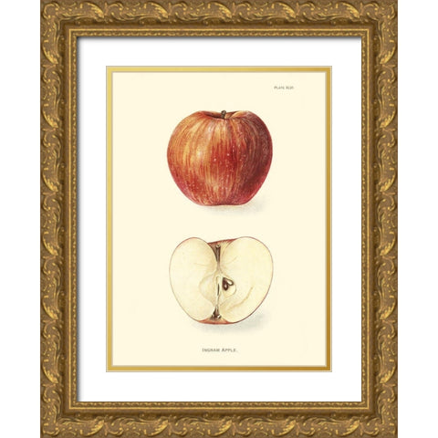 Apple II Gold Ornate Wood Framed Art Print with Double Matting by Unknown