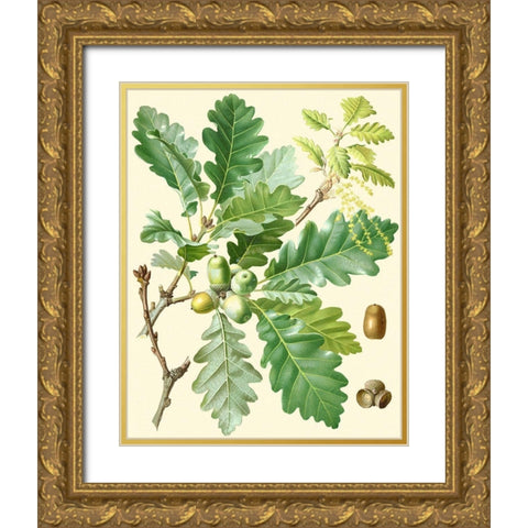 Acorns and Foliage I Gold Ornate Wood Framed Art Print with Double Matting by Vision Studio