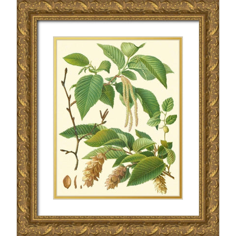 Pinecones and Foliage I Gold Ornate Wood Framed Art Print with Double Matting by Vision Studio