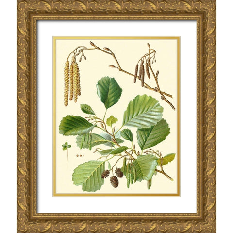 Pinecones and Foliage II Gold Ornate Wood Framed Art Print with Double Matting by Vision Studio