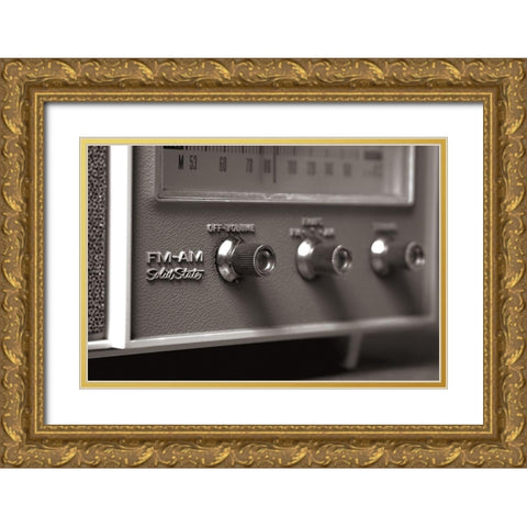 Solid State I Gold Ornate Wood Framed Art Print with Double Matting by Stramel, Renee W.