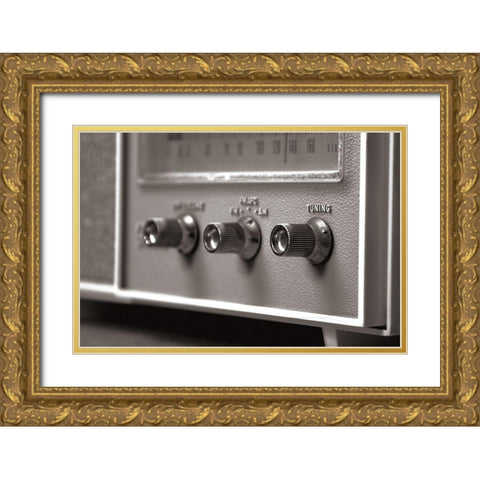 Solid State II Gold Ornate Wood Framed Art Print with Double Matting by Stramel, Renee W.