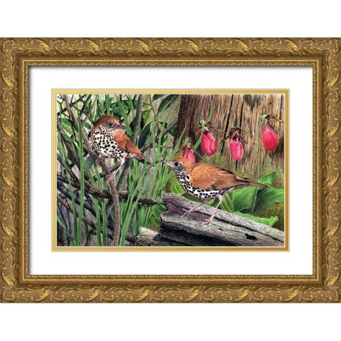 Thrush Gold Ornate Wood Framed Art Print with Double Matting by Dornish, Al