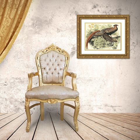 Pheasant Varieties VIII Gold Ornate Wood Framed Art Print with Double Matting by Vision Studio