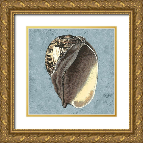 Stonewashed Shells II Gold Ornate Wood Framed Art Print with Double Matting by Vision Studio