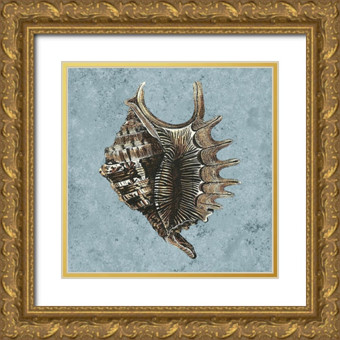 Stonewashed Shells V Gold Ornate Wood Framed Art Print with Double Matting by Vision Studio