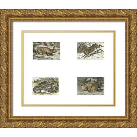 Micro Bunnies Gold Ornate Wood Framed Art Print with Double Matting by Unknown