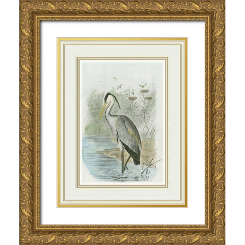 Common Heron Gold Ornate Wood Framed Art Print with Double Matting by Frohawk