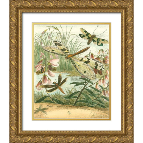 Dragonfly Gathering I Gold Ornate Wood Framed Art Print with Double Matting by Vision Studio