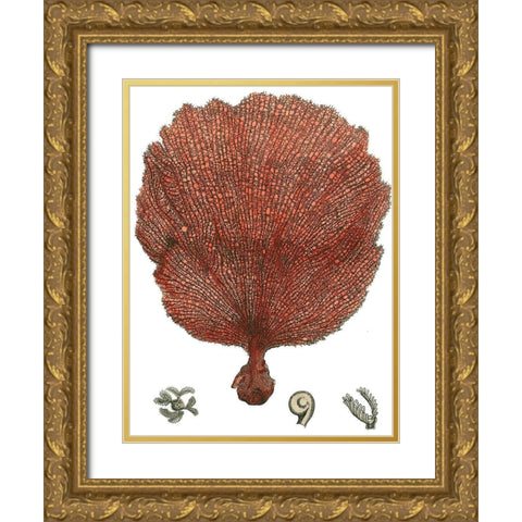 Red Coral (N) II Gold Ornate Wood Framed Art Print with Double Matting by Vision Studio