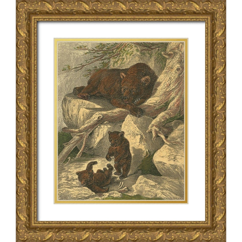 Small Brown Bear Gold Ornate Wood Framed Art Print with Double Matting by Specht, Friedrich