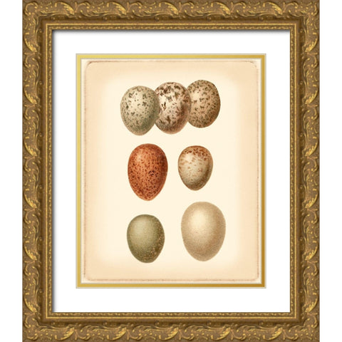 Bird Egg Study I Gold Ornate Wood Framed Art Print with Double Matting by Vision Studio