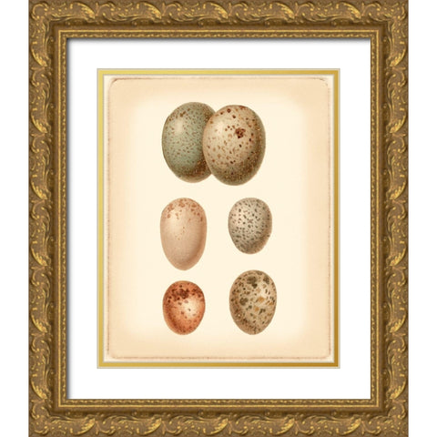 Bird Egg Study IV Gold Ornate Wood Framed Art Print with Double Matting by Vision Studio
