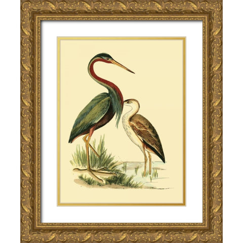 Water Birds III Gold Ornate Wood Framed Art Print with Double Matting by Vision Studio