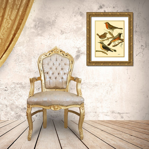 Domestic Bird Family III Gold Ornate Wood Framed Art Print with Double Matting by Rutledge, W.