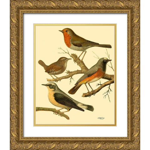 Domestic Bird Family III Gold Ornate Wood Framed Art Print with Double Matting by Rutledge, W.