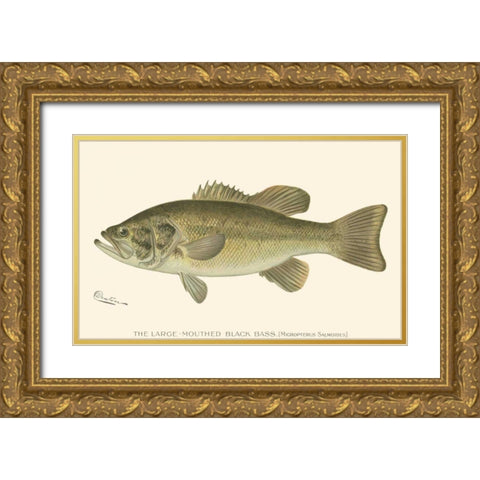 Large-mouthed Black Bass Gold Ornate Wood Framed Art Print with Double Matting by Denton