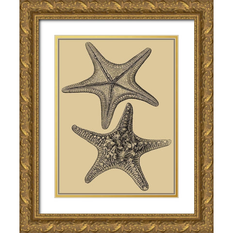 Shells on Khaki II Gold Ornate Wood Framed Art Print with Double Matting by Diderot, Denis