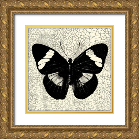 Classical Butterfly III Gold Ornate Wood Framed Art Print with Double Matting by Vision Studio