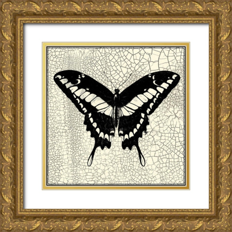 Classical Butterfly IV Gold Ornate Wood Framed Art Print with Double Matting by Vision Studio