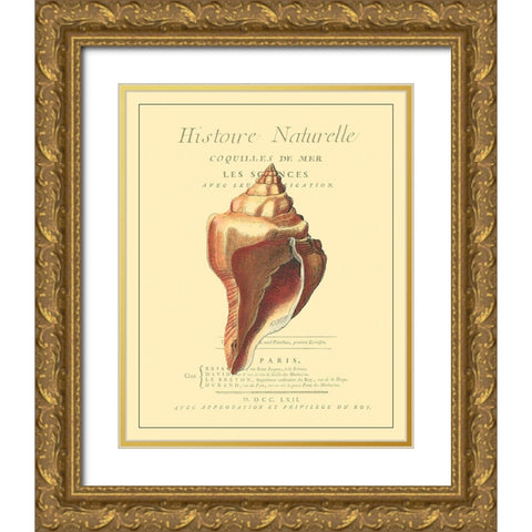 Coquilles De Mer II Gold Ornate Wood Framed Art Print with Double Matting by Vision Studio