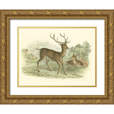 Petite Red Deer Gold Ornate Wood Framed Art Print with Double Matting by Lizars, W.H.