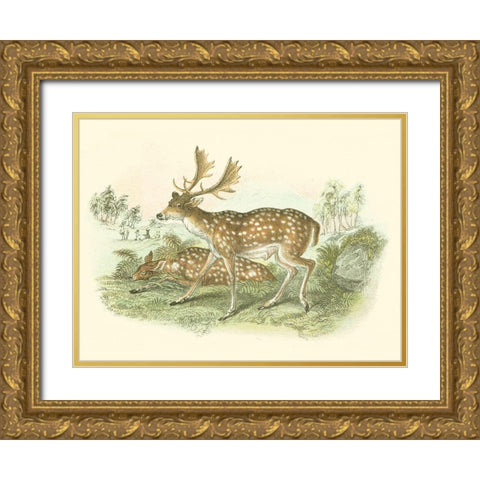 Petite Fallow Deer Gold Ornate Wood Framed Art Print with Double Matting by Lizars, W.H.