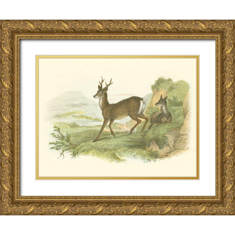 Petite Row Deer Gold Ornate Wood Framed Art Print with Double Matting by Lizars, W.H.