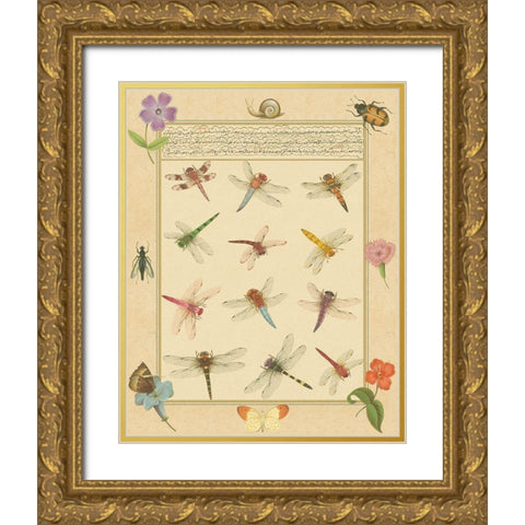 Custom Dragonfly Manuscript II (HI) Gold Ornate Wood Framed Art Print with Double Matting by Prasad, Jaggu
