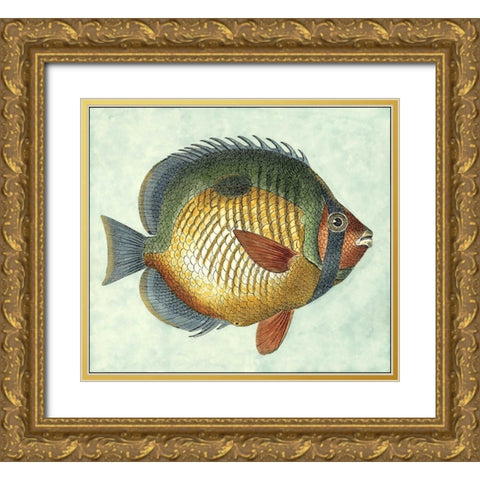 Small Butterfly Fish I Gold Ornate Wood Framed Art Print with Double Matting by Vision Studio