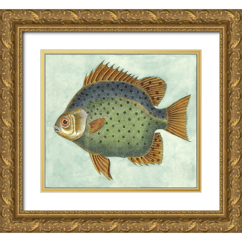 Small Butterfly Fish II Gold Ornate Wood Framed Art Print with Double Matting by Vision Studio